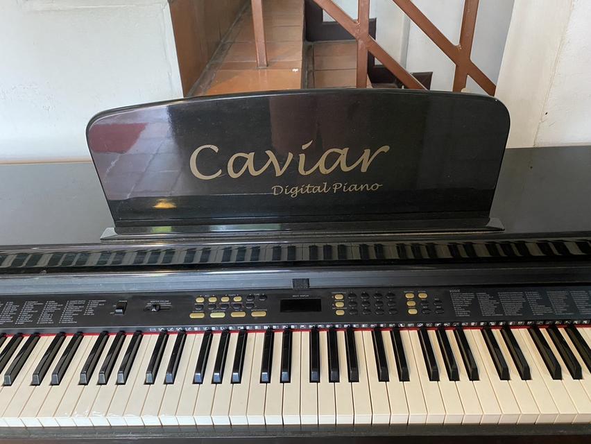 ขายเปียโนไฟฟ้า Caviar TG8815 Digital Piano 3