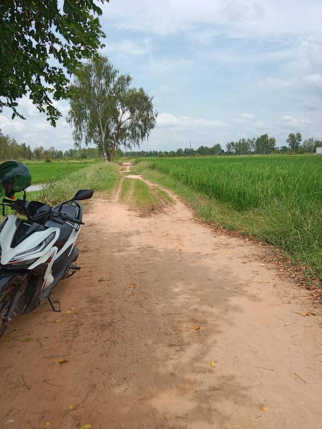 ที่ดินแปลงเดียวกันเเต่มี3โฉนด 2