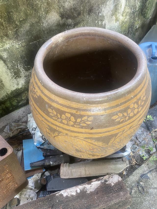 โอ่งมังกรเก่าหลาบใบราคากันเอง รูปที่ 1