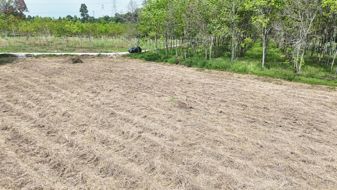 ขายที่ดินเปล่า 4-2-50 ไร่ ทำเลศักยภาพ ติดคลองกระเฉท น้ำไหลตลอดปี ใกล้นิคมอุตสาหกรรม ต.มาบข่า ระยอง 12