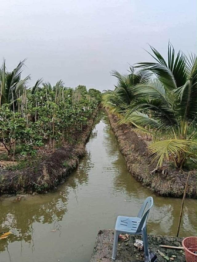 🌿 ขายที่ดินแปลงสวย ทำเลดี สามพราน นครปฐม 🌿 1