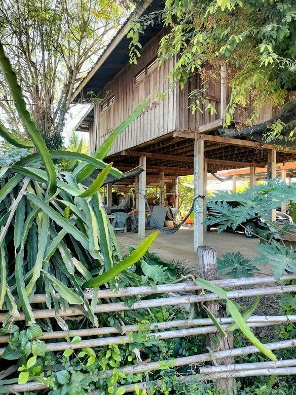 ขายด่วน! (บ้าน 2 ชั้น/ใต้ถุนโล่ง) พร้อมที่ดิน ติดถนนดำ อำเภอลาดยาว นครสวรรค์ โทร 092-6869618 1