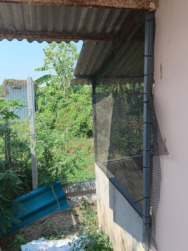 ขายบ้านพร้อมที่ดิน 100ตารางวา 15