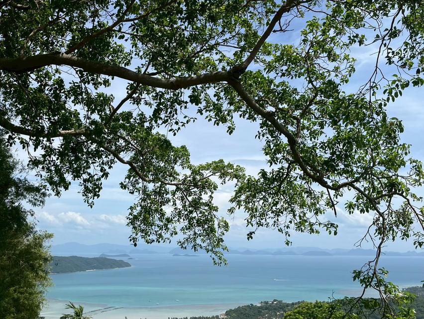 ขายที่ดินวิวทะเล ทำเลทอง เกาะสมุย 5