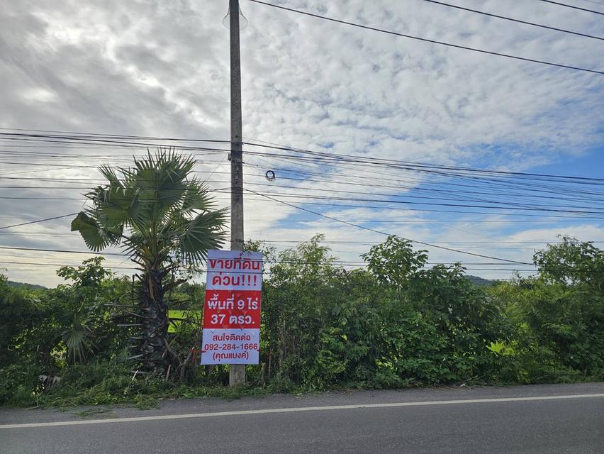 ขายที่ดินโคกกรุง แก่งคอยบ้านนา (ชุมชนชำผักแพว) อ.แก่งคอย จ.สระบุรี 6
