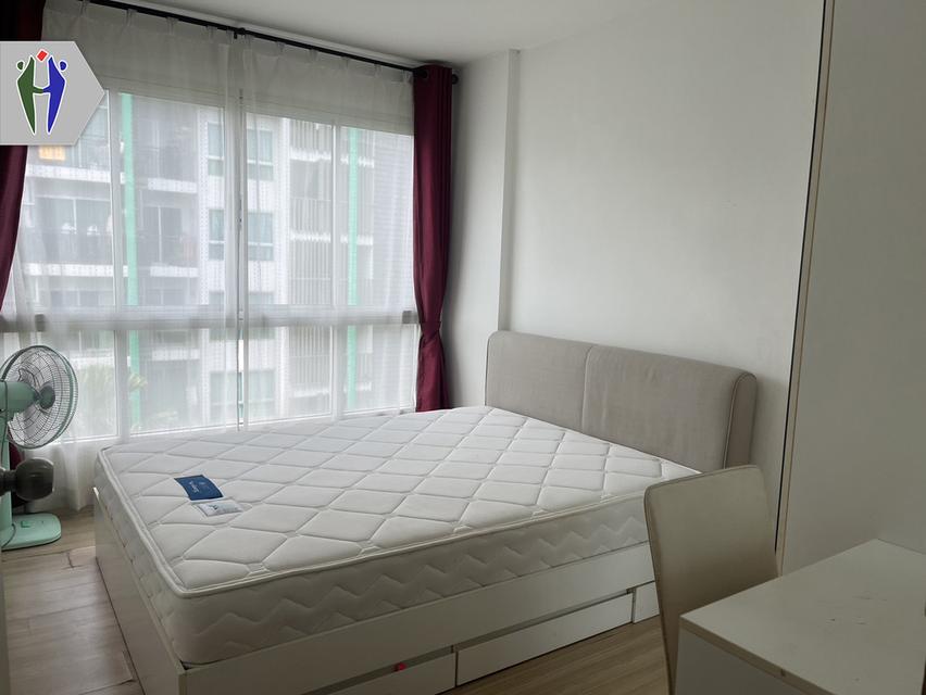 คอนโดให้เช่า พัทยาเหนือ เนทูเรซ่า 1 ห้องนอน จะว่าง 1/02/26 2