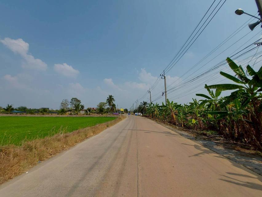 ขายที่ดินเปล่า ใกล้วัดต้นเชือก บางใหญ่ นนทบุรี 3