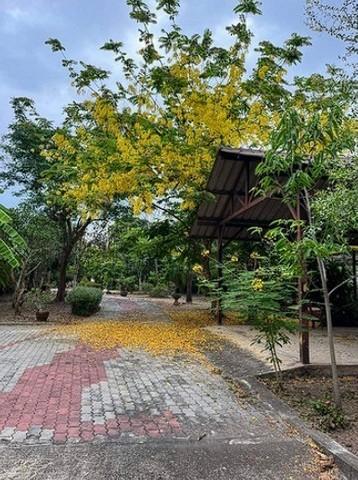 ขายที่ดิน สิ่งปลูกสร้าง ริมแม่น้ำแม่กลอง สมุทรสงคราม ใกล้วัดแม่น้ำ ตำบลท้ายหาด มีโป๊ะสะพานที่ถูกต้องตามกฎระเบียบของกรมเจ้าท่า  15