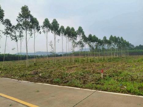ที่ดินติดถนนเทพราชลากระบัง เนื้อที่ 51-1-167 ไร่ ไร่ละ 10 ล้าน รวมเป็นเงิน 520 ล้านบาท อ.บางบ่อ สมุทรปราการ 10540 4
