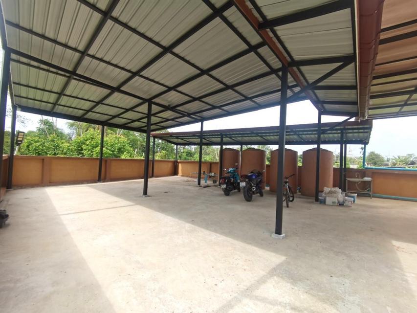 ให้เช่า อพาร์ทเม้นท์ ห้องแถว ห้องเช่า หนองตะพาน บ้านค่าย ระยอง . 20 ตรม 279 ตรว ทำเลดี ราคาถูก ใกล้ Central นิคม WHA ศูน 3