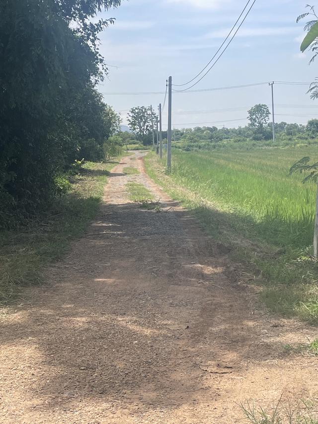 ที่ดินทำเลดี หนองจิก สระบุรี 11