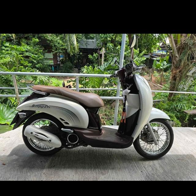 Honda scoopy i 2010 สภาพนางฟ้า สีขาว รูปที่ 3