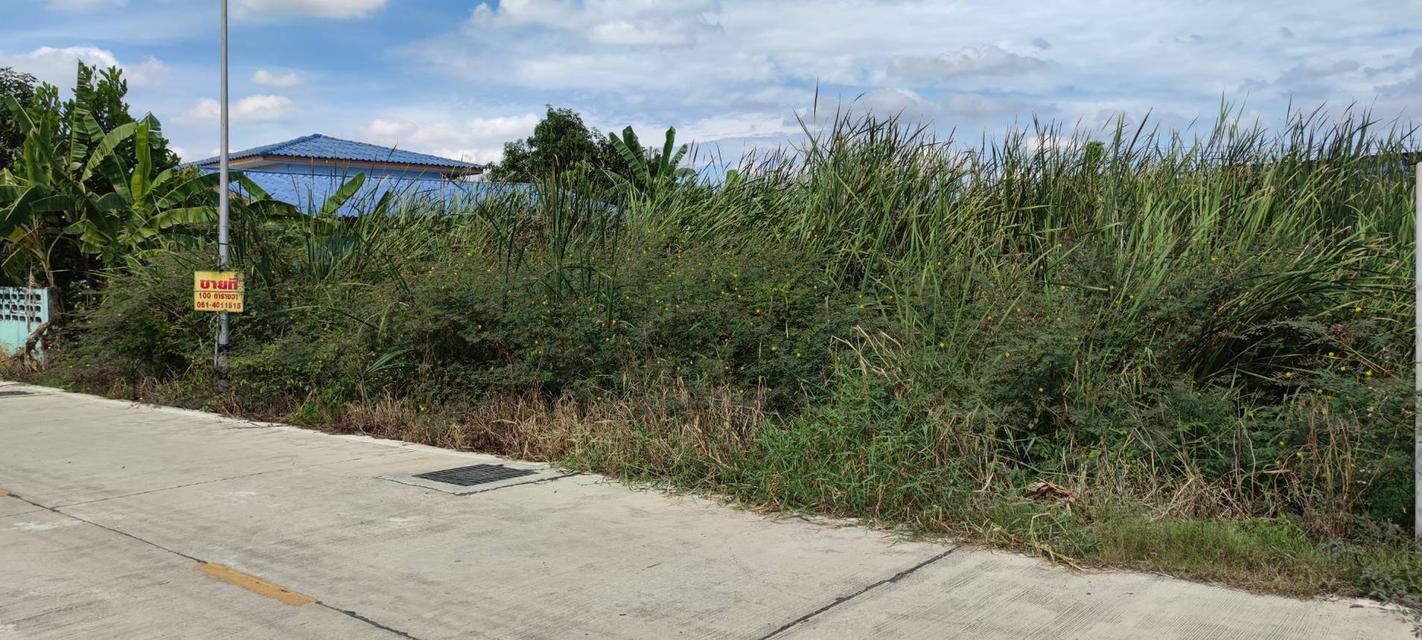 ที่ดิน ซอยบงกช71 คลองสอง ปทุมธานี 3