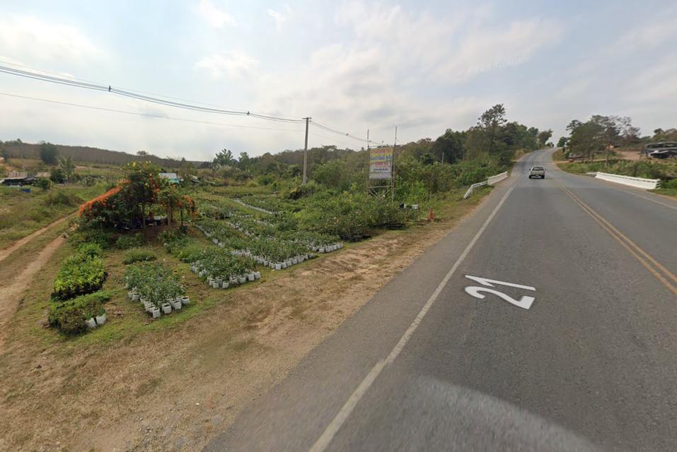 ขายที่ดินสวย ทำเลทอง อ.ภูเรือ จ.เลย ติดถนนใหญ่สาย 21 ห่างตัวอำเภอแค่ 3 กม.