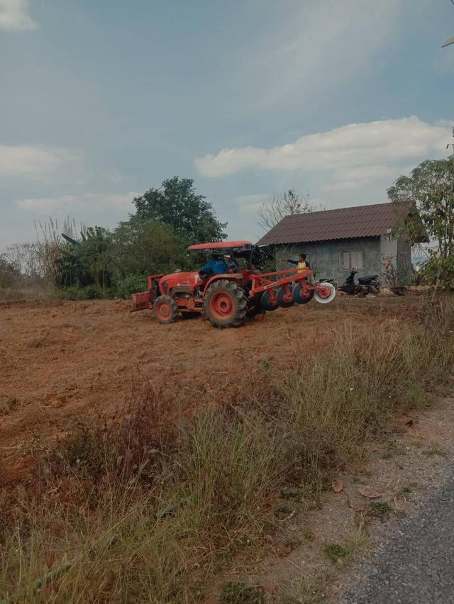 ที่ดินเปล่า มีหลายไร่ แบ่งขาย 1 ไร่ 6 แสน บ้านศิลางาม  วังน้ำเขียว รูปย่อยที่ 4