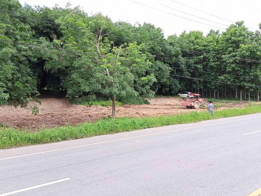 ขายสวนยาง 3.1ไร่ 60 ตรว ติดถนนสายหลัก ทำเลดี อำเภอขุนตาล จังหวัดเชียงราย 1