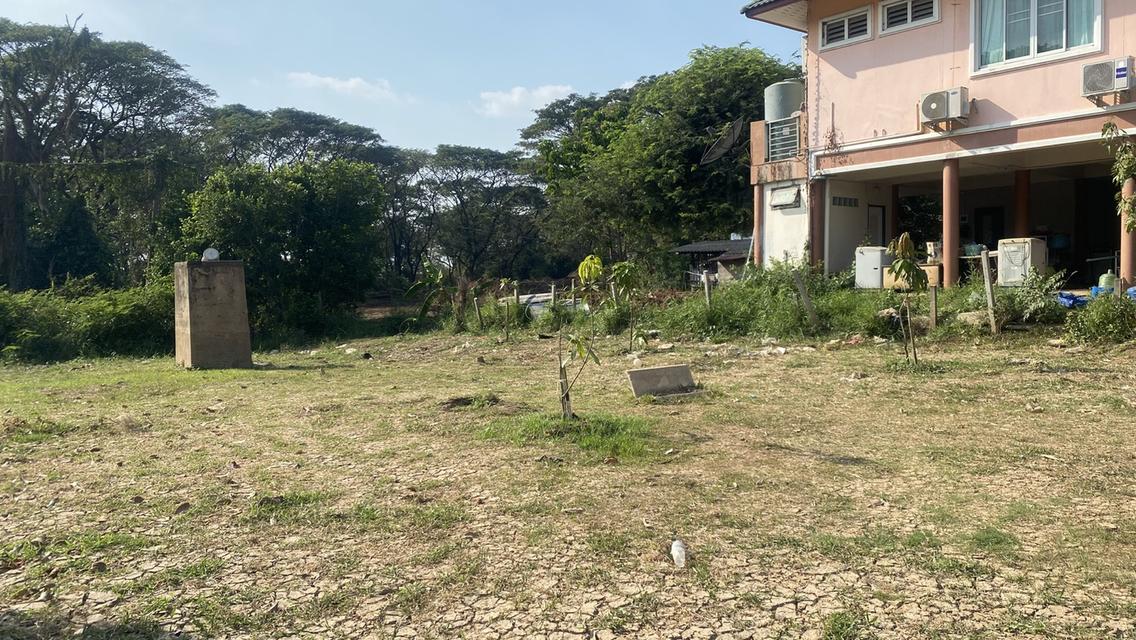 ที่ดินผืนงามริมแม่น้ำเจ้าพระยา – อัญมณีแห่งบางปะอิน 15