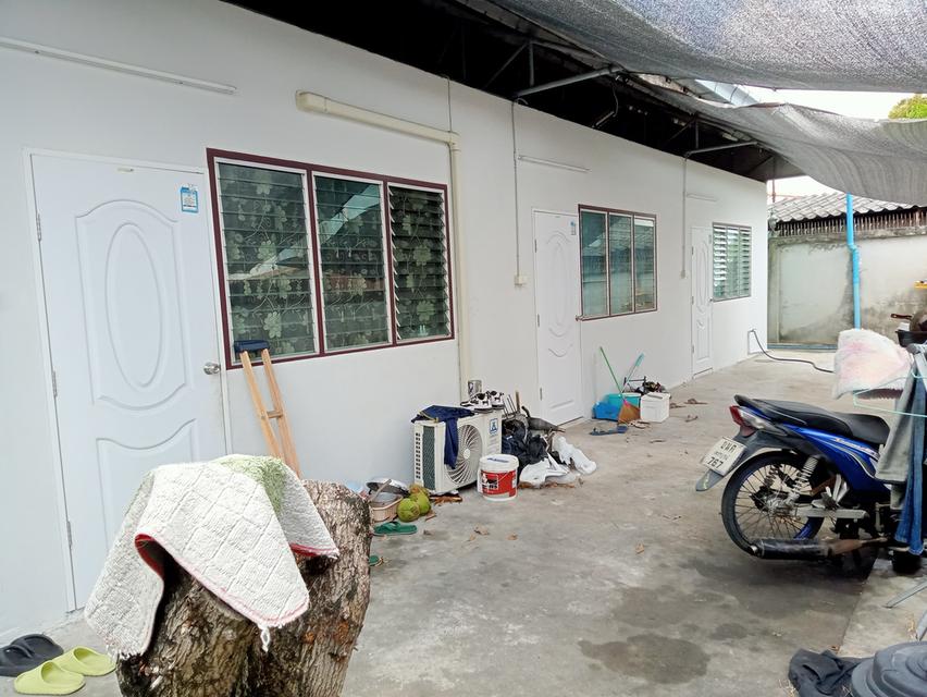 ขายบ้าน2ชั้นพร้อมห้องแถวชั้นเดียว2หลัง8ห้อง 396 ตรว. จอดรถยนต์ได้15-20คัน เจ้าของขายเอง ค่าโอนเจ้าของออกเอง 8
