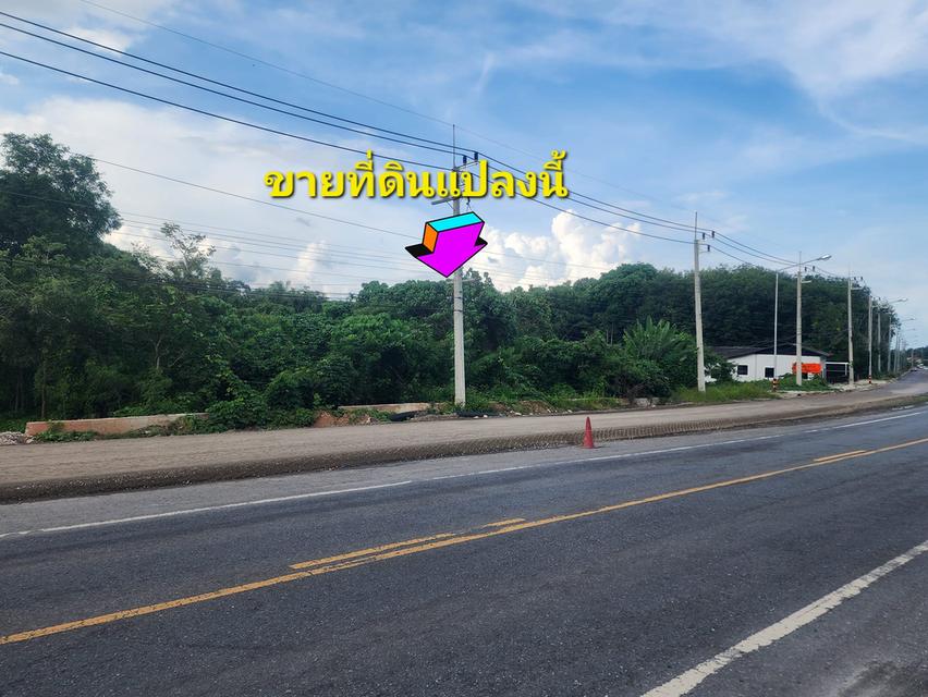 ขายที่ดินติดถนน อำเภอบ้านนาสาร สุราษฯ 10