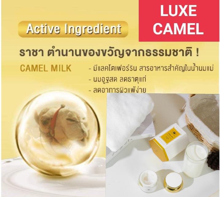 ครีมบำรุงผิวน้ำนมอูฐ 50 กรัม รูปที่ 11