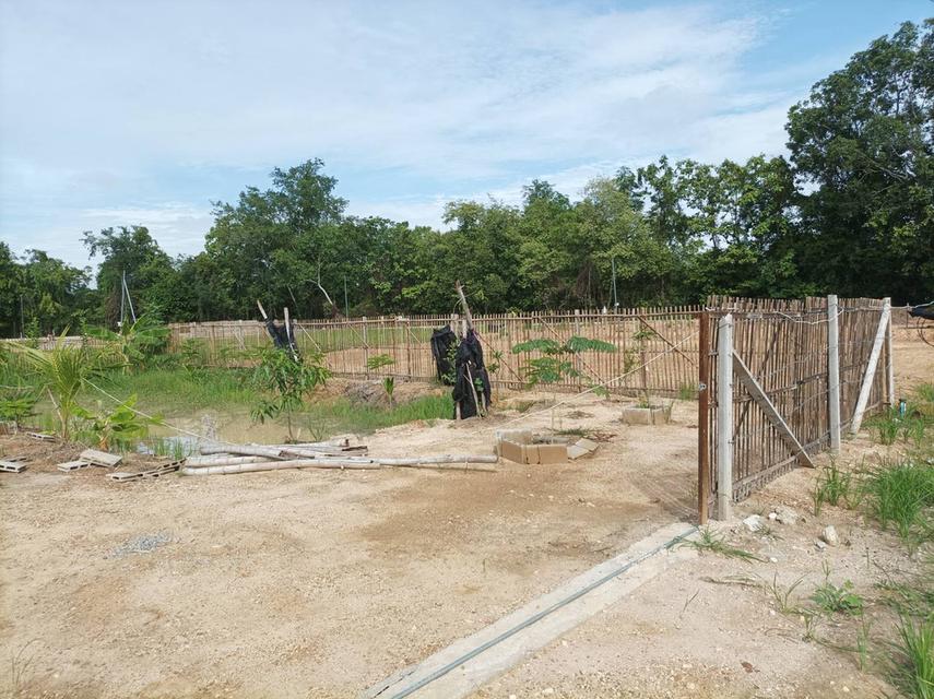 ขายที่ดินเปล่าพร้อมถม ต.สง่าบ้าน อ.ดอยสะเก็ด จ.เชียงใหม่ รูปที่ 20