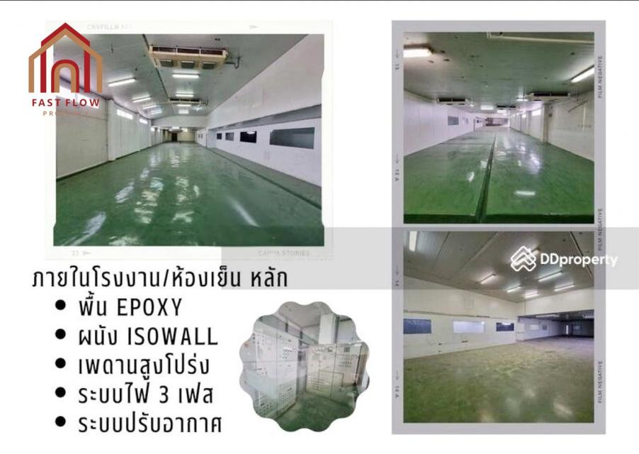 ขาย โรงงาน ขาย ที่ดิน พร้อมโรงงาน ห้องเย็น กำแพงแสน 1800 ตรม 2 ไร่ 3 งาน 46 ตรว 4