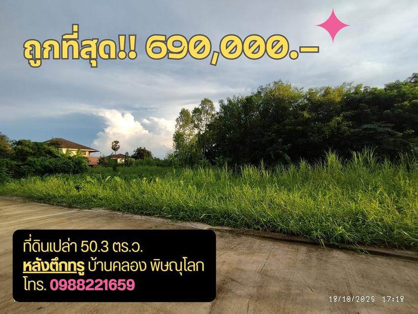 ถูกที่สุด!! ที่ดินเปล่า หลังตึกทรู บ้านคลอง พิษณุโลก