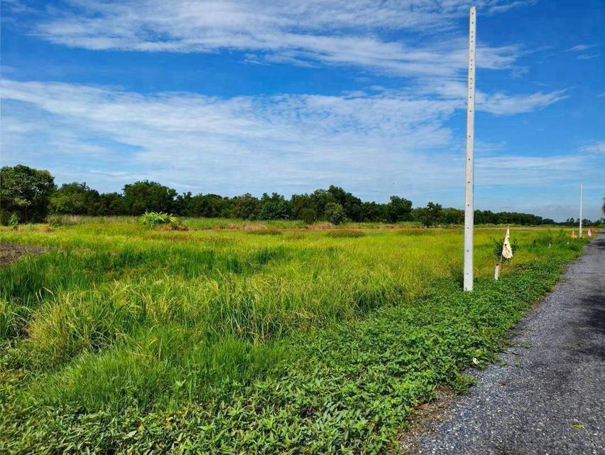 ขายที่ดิน 1 ไร่ บึงบา–หนองเสือ จ.ปทุมธานีบรรยากาศบ้านสวน มีทางเลือกผ่อนตรงเจ้าของ 36 งวด 9