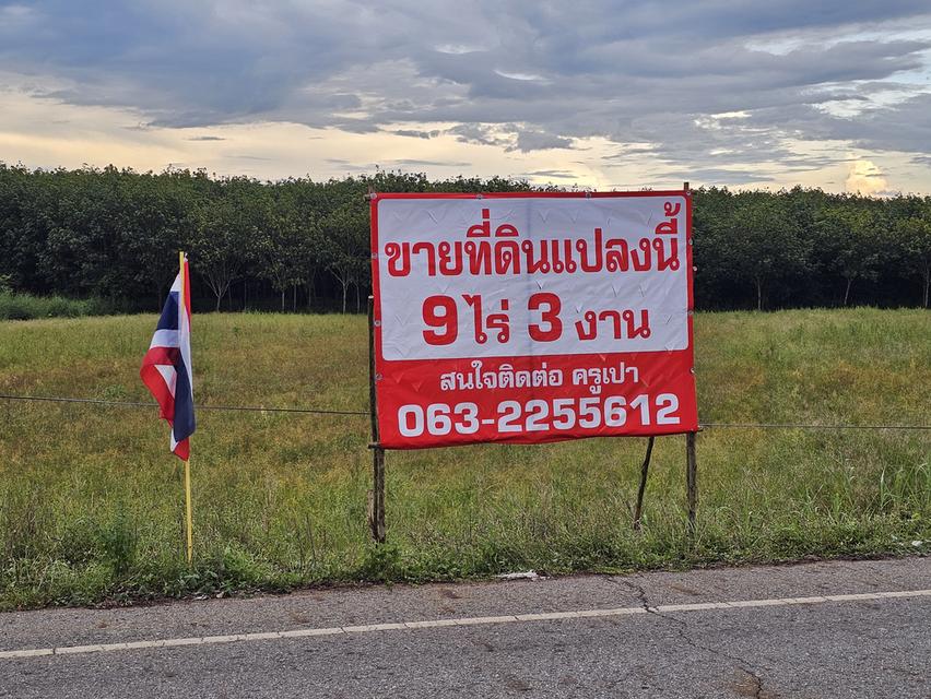 ด่วน!!!ขายที่ดิน9ไร่3งาน 5
