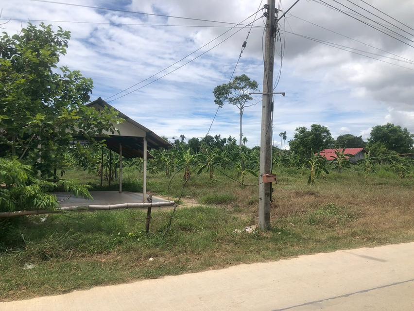 🔥 ที่ดินแปลงสวย บางเสร่ 3 ไร่ 45 ตร.ว. ทำเลศักยภาพ เหมาะพัฒนาพูลวิลล่าและโครงการลงทุน Tel. 083 612 9880 7