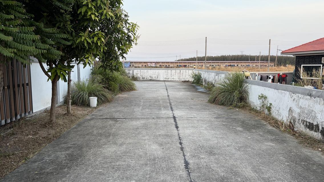 บ้านเดี่ยว 2 ชั้น ทำเลทองระยอง 13