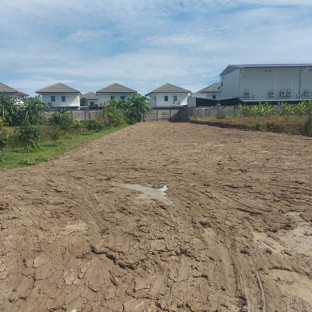 ที่ดินเปล่า​2ไร่215ตารางวา 9