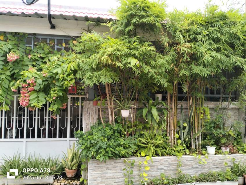 ขายบ้านชั้นเดียวพร้อมเฟอร์นิเจอร์ ที่ อ.หัวหิน เจ้าของขายเอง