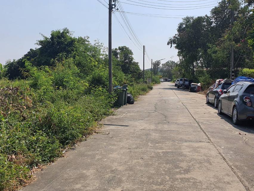 ขายที่ดินคลองโยง 210 คารางวา พุทธมณฑล นครปฐม แบ่งขายได้ 6