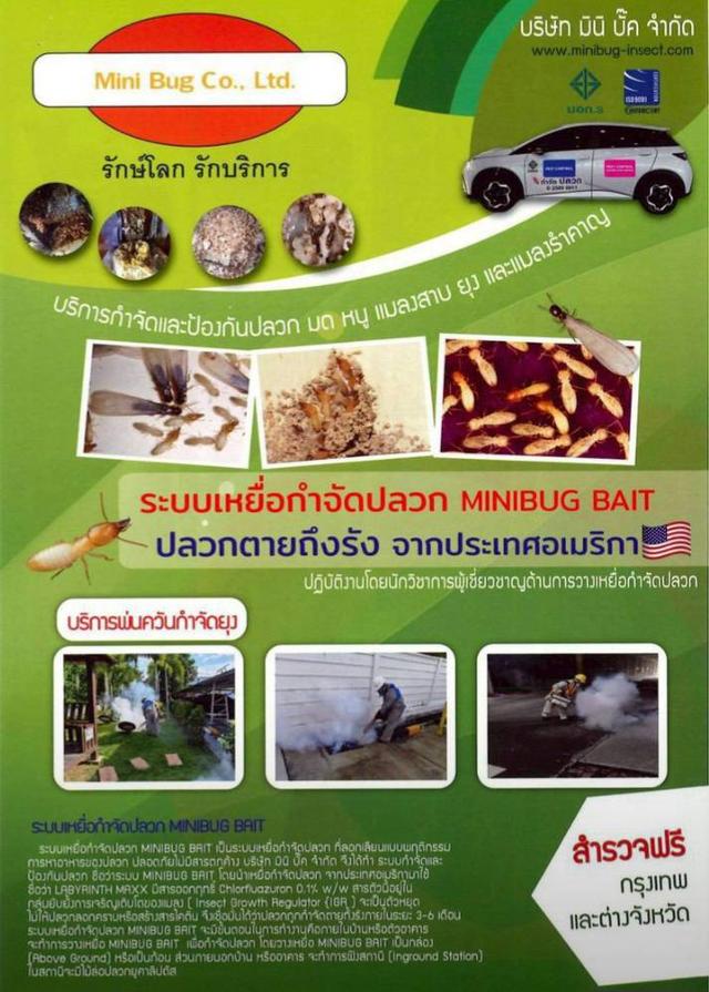 บริการป้องกันจำกัดปลวก มด หนู แมลงสาบอเมริกัน แมลงสาบเยอรมัน  ตัวเรือด ยุง แมลงวัน  Pest control รูปที่ 7