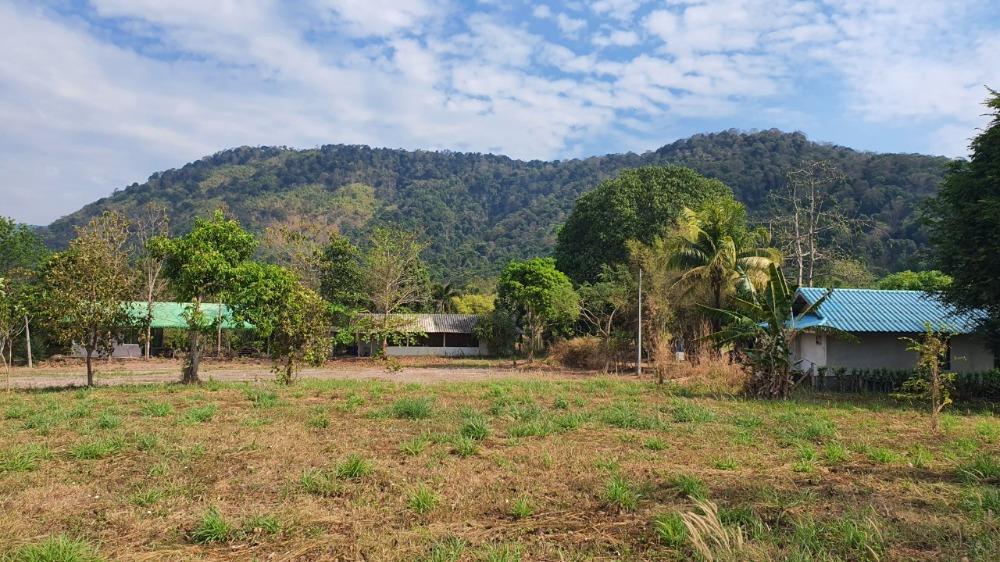 ขายที่ดินปราจีนบุรี 26 ไร่ 2 งาน 92 ตร.ว. ใกล้ทางขึ้นเขาใหญ่ ใกล้น้ำตกวังตะแคง วิวเขาอีโต้ ตำบลเนินหอม 5