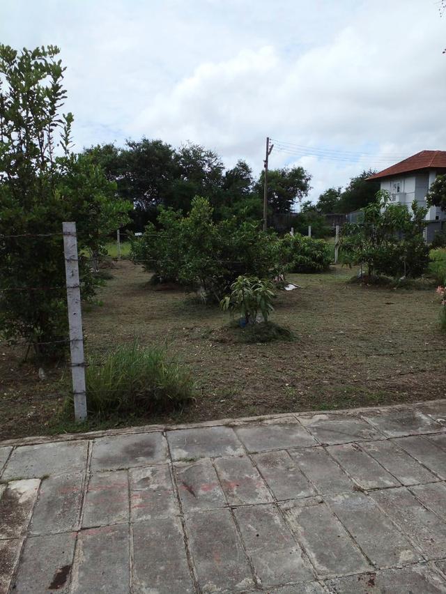 ที่ดินเปล่าจัดสรร(หมู่บ้านวิจิตราธานี) 2