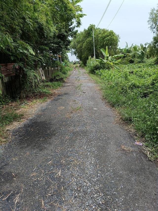 ขายที่ดินทำเลดี 2 ไร่ 3 งาน เจ้าของขายเอง คลอง13 หนองจอก ฝั่งตะวันออก  กทม 2