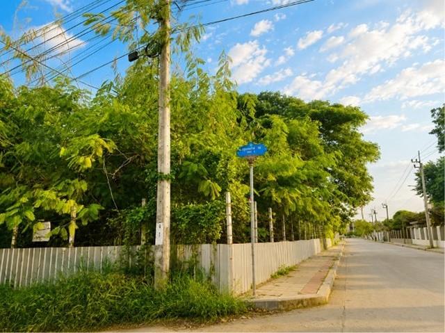 2397 ขาย ที่ดิน ที่ดิน กรุงเทพกรีฑา 18 แยก 1 1 งาน 121 ตารางวา กรุงเทพ 7