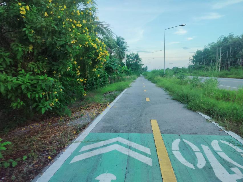 ที่ดินหัวหิน ห้วยมงคล 7