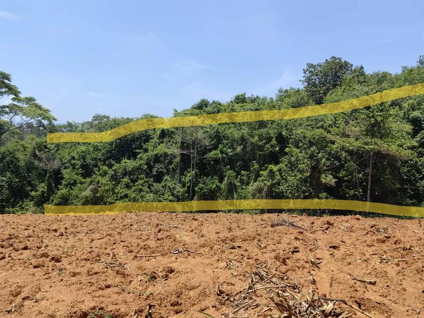 ที่ดินเปล่า 6 ไร่ 3 งาน 4.5 ล้าน บ.สวนห้อม อ.วังน้ำเขียว 5