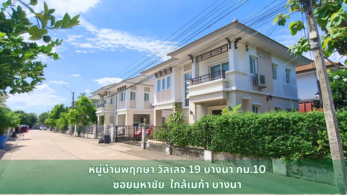 บ้านเดี่ยว พฤกษาวิลเลจ19 ซอยมหาชัย บางนา กม.10 1