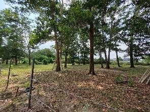 Land for Sale in kathu Phuket 4