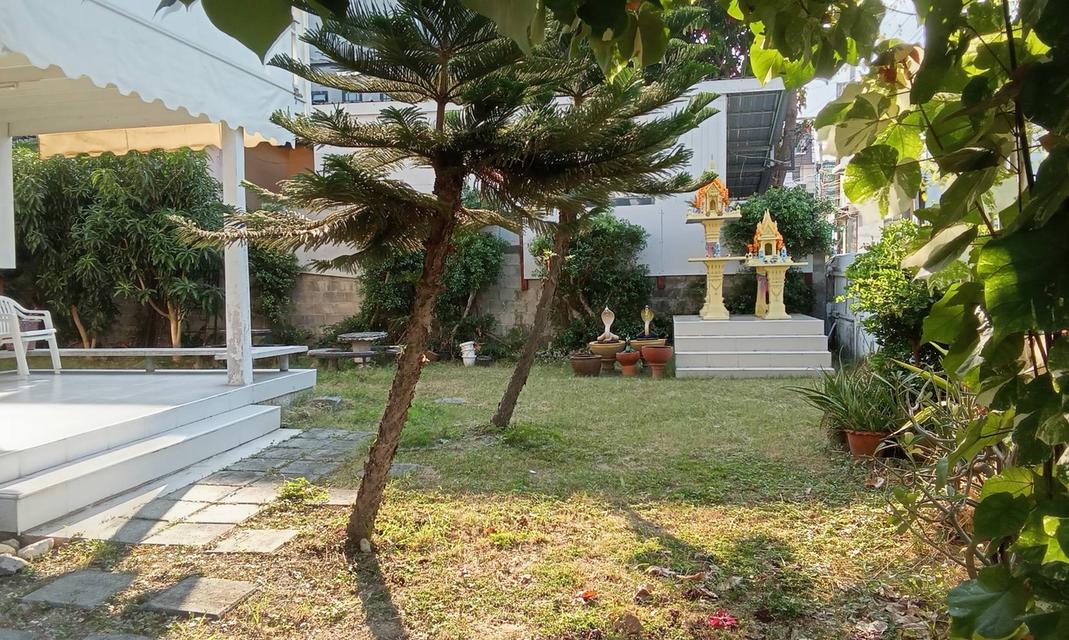 ขายบ้านพักตากอากาศ บ้านไม้มะค่าพร้อมที่ดินฝั่งทะเล 7