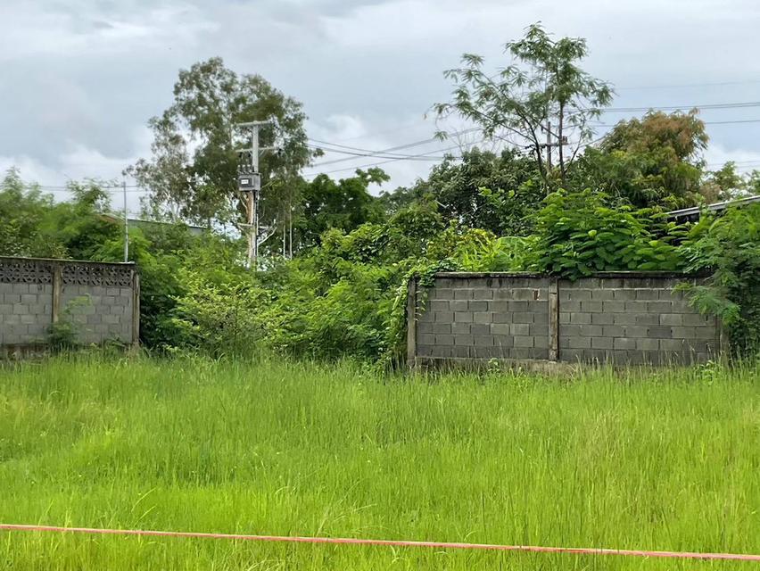 ขายที่ดิน 135 ตารางวา อยู่ปากทางเข้าเขาคันทอง อยู่หลังโลตัส เอ็กซ์เพรส คลองสัก 2