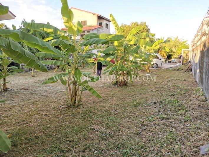 ที่ดินถมแล้ว โกสุมรวมใจ 37 ดอนเมือง กรุงเทพฯ 3