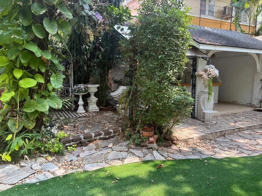 U1477 ให้เช่าบ้านสวน ใจกลางสุขุมวิท 101 FOR RENT RARE GARDEN SPACE IN SUKHUMVIT An Extraordinary Glasshouse Garden Space in Sukhumvit 101 8