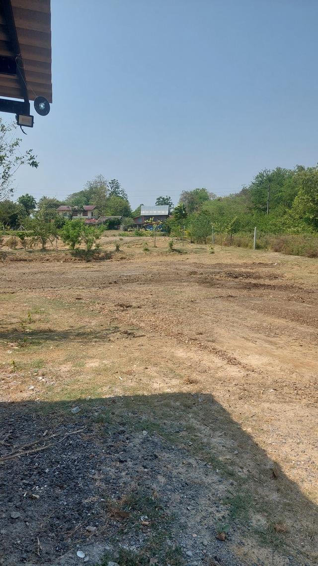 ที่ดินสองไร่พร้อมบ้านสวน 7