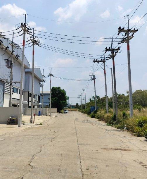 ขายที่ดินคลองหลวงแพ่งเริ่มต้น 243 ตรว. หลังตลาดคลองเจ้า ใกล้ถนนสุวินทวงศ์304-500เมตร เมืองฉะเชิงเทรา 4