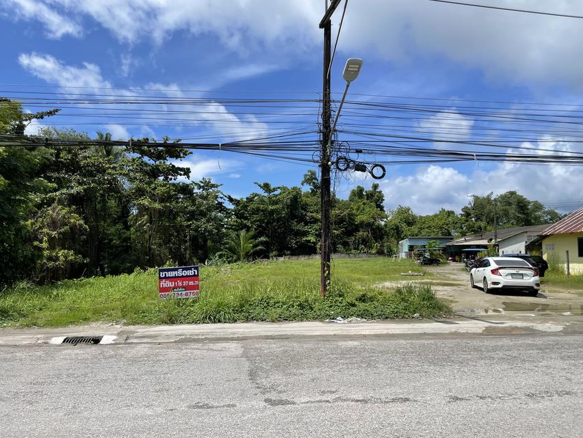 ขาย/เช่า ที่ดินตัวเมืองระนอง 1